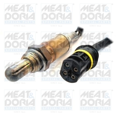 Oxygen Sensor